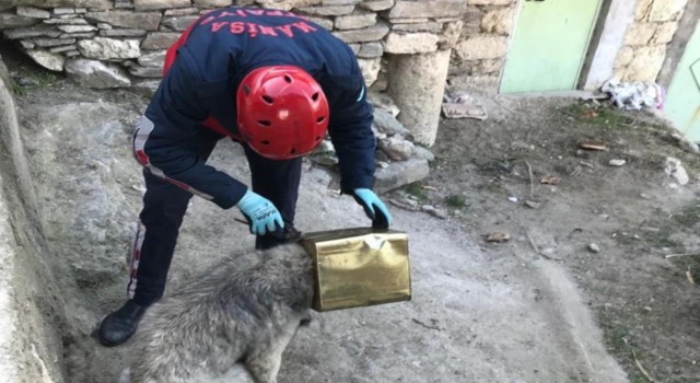 Kafası tenekeye sıkışan köpeği itfaiye kurtardı