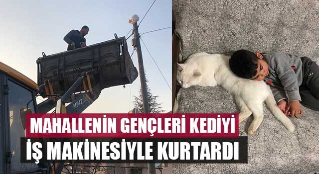 Mahallenin gençleri kediyi iş makinesiyle kurtardı