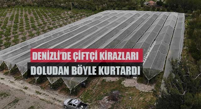 Denizli’de çiftçi kirazları doludan böyle kurtardı