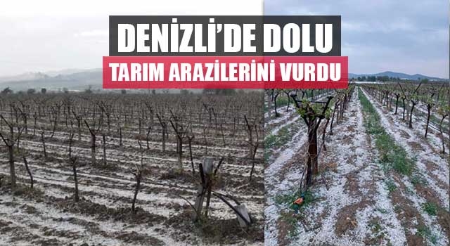 Denizli’de dolu tarım arazilerini vurdu
