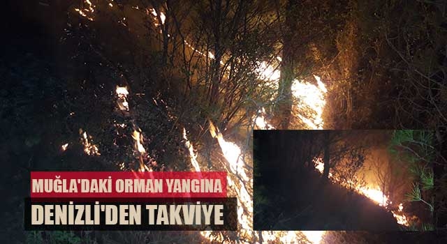 Muğla'daki orman yangına Denizli'den takviye