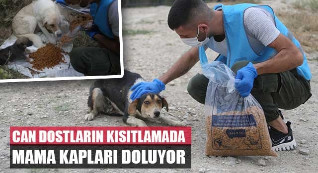 Can dostların kısıtlamada mama kapları doluyor