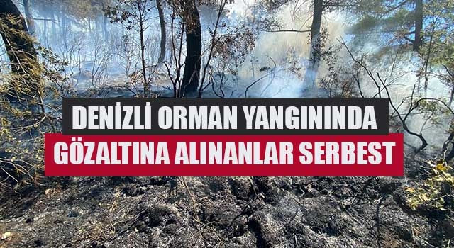 Denizli orman yangınında gözaltına alınanlar serbest