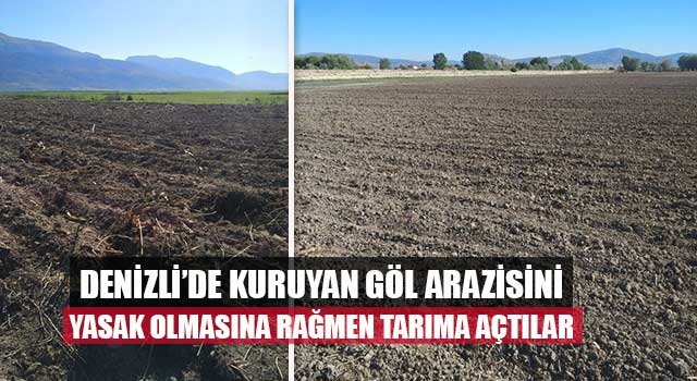 Denizli’de kuruyan göl arazisini yasak olmasına rağmen tarıma açtılar