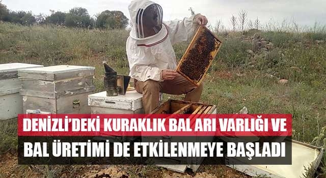 Denizli’deki kuraklık bal arı varlığı ve bal üretimi de etkilenmeye başladı