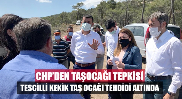 Denizli'nin tescilli kekiği taşocağı tehlikesi altında