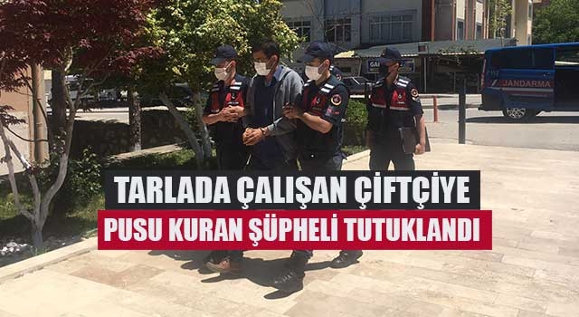Tarlada çalışan çiftçiye pusu kuran şüpheli tutuklandı