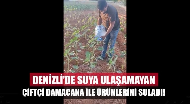 Denizli’de çiftçiler DSİ’ye tepki için damacana ile ayçiçeği suladı
