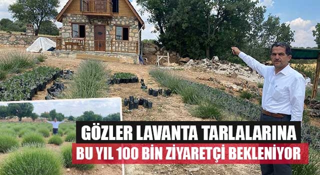 Denizli'de lavanta tarlalarına bu yıl 100 bin ziyaretçi bekleniyor