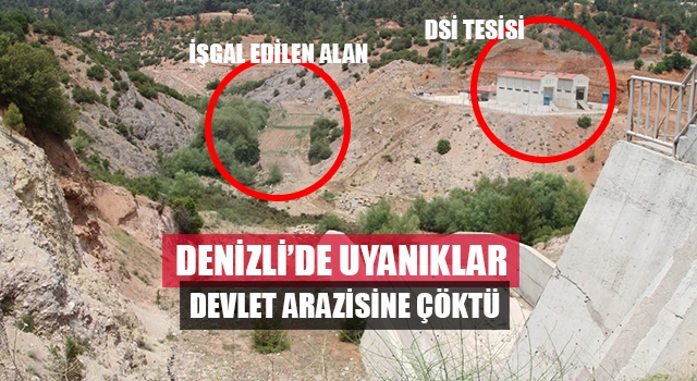 Denizli’de uyanık çiftçiler devlet arazisine çöktü
