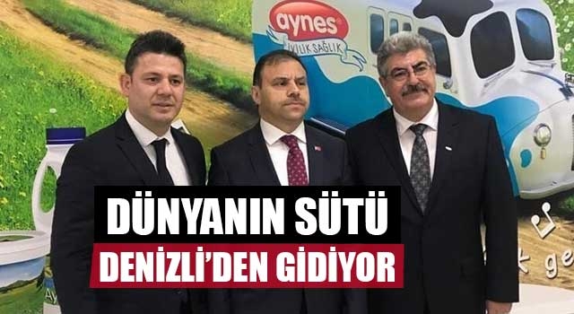 Dünyanın sütü Denizli’den gidiyor