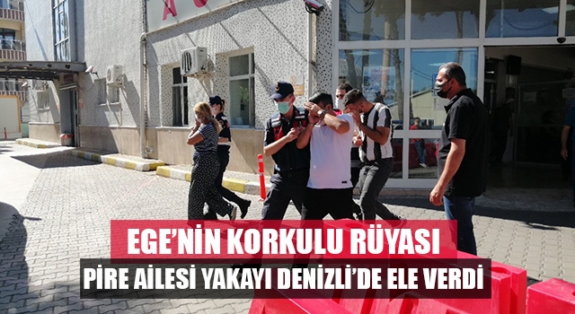 Ege'nin azılı belası Pire Ailesi Denizli'de yakayı ele verdi
