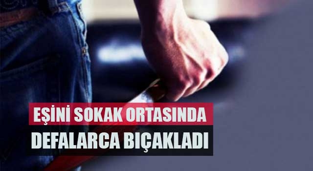 Eşini sokak ortasında defalarca bıçakladı