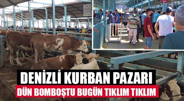 Denizli kurban pazarı dün bomboştu bugün tıklım tıklım