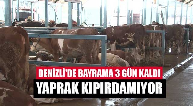 Denizli'de bayrama 3 gün kaldı yaprak kıpırdamıyor