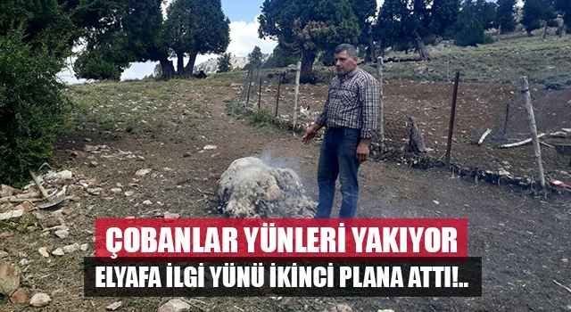 Denizli'de kestikleri yünü satamayan çobanlar çareyi yakmakta buldu