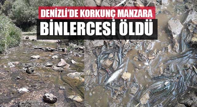 Denizli’de korkunç manzara binlercesi öldü