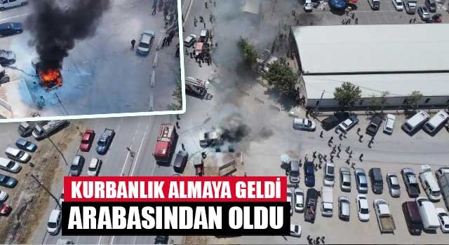 Kurbanlık almaya geldi arabasından oldu