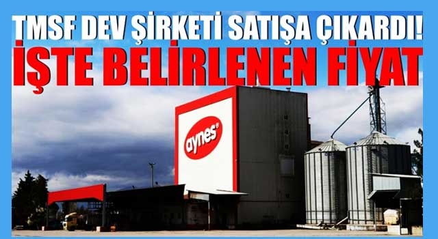 Aynes Gıda için istenen fiyat belli oldu