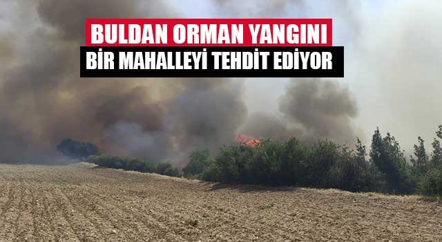 Buldan orman yangını bir mahalleyi tehdit ediyor