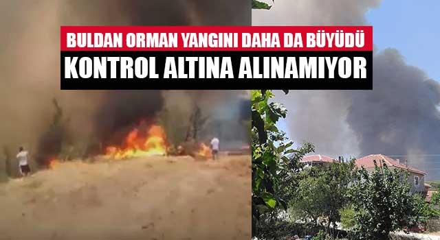 Buldan Orman yangını daha da büyüdü kontrol altına alınamıyor
