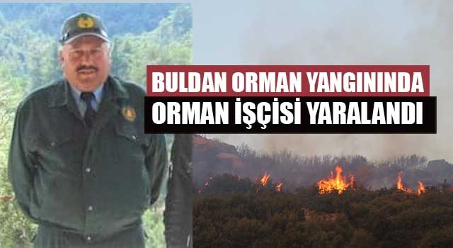 Buldan Orman yangınında orman işçisi yaralandı