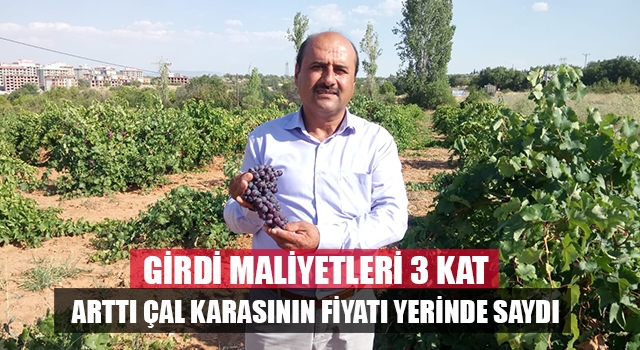 Çallı üretici üzüm fiyatından dertli! En az 4,5 lira olmalı