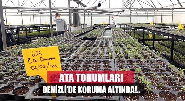 Denizli’de ata tohumları bu merkezde korunuyor