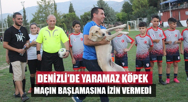 Denizli'de sahaya giren yaramaz köpek, maçın başlamasına izin vermedi
