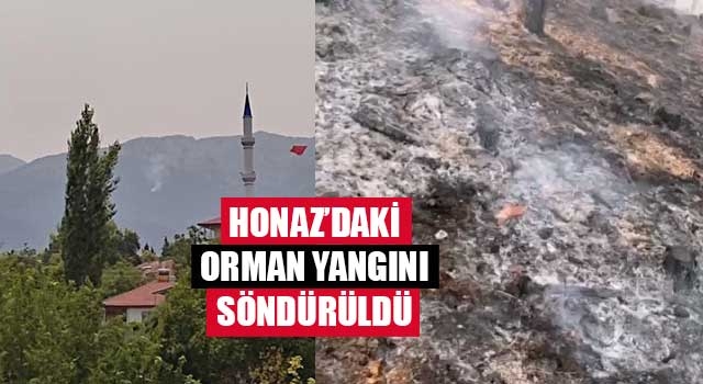 Honaz orman yangını kontrol altına alındı