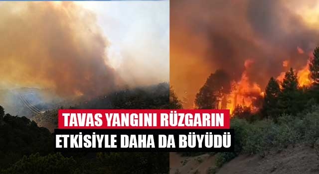 Tavas yangını rüzgarın etkisiyle daha da büyüdü