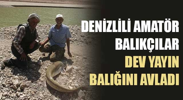 Denizlili amatör balıkçılar dev yayın balığını avladı