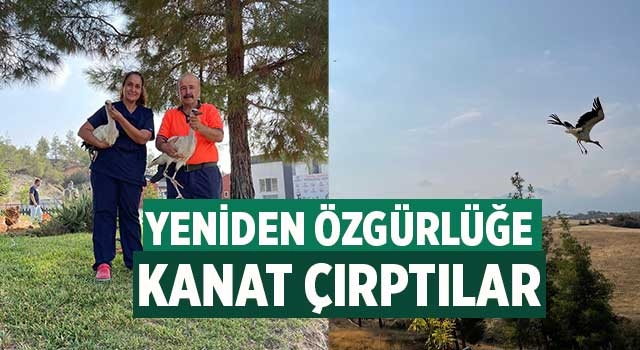 Yeniden özgürlüğe kanat çırptılar