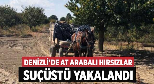 Denizli’de at arabalı hırsızlar suçüstü yakalandı