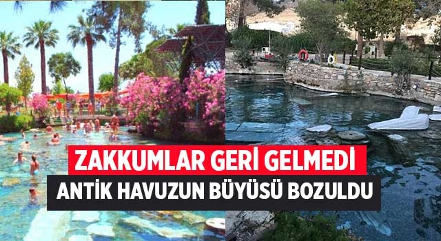 Zakkumlar geri gelmedi Antik Havuzun büyüsü bozuldu
