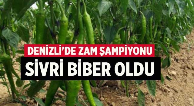 Denizli'de zam şampiyonu sivri biber oldu