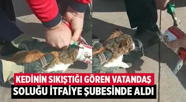 Kedinin sıkıştığı gören vatandaş soluğu itfaiye şubesinde aldı