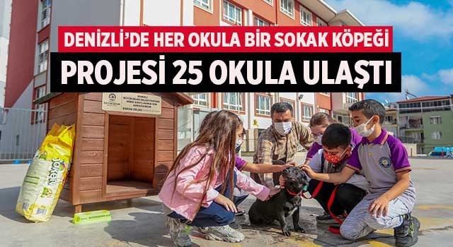 Her okula bir sokak köpeği projesi 25 okula ulaştı