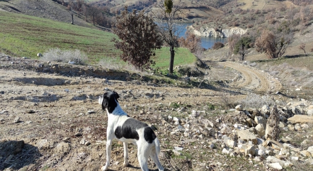Denizli'de herkes onu arıyordu o ise  Konya’daki asker arkadaşının yanından çıktı