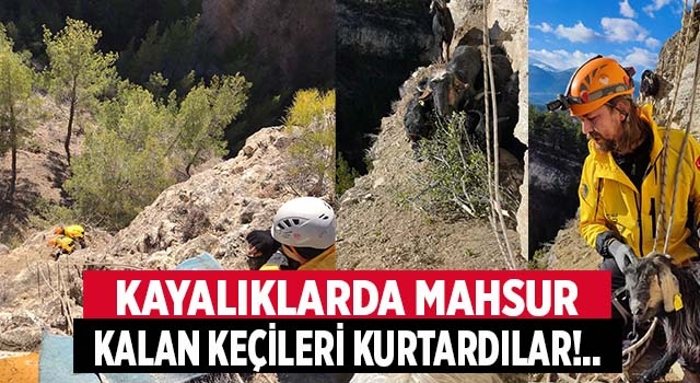 Denizli'de kayalıklarda mahsur kalan keçiler operasyonla kurtarıldı