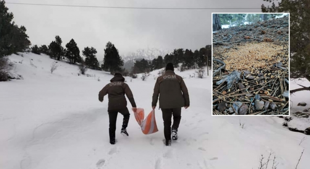 Denizli’de kışın zor şartlarında yaban hayatına yardım eli