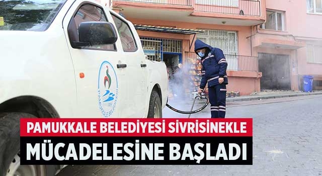 Pamukkale Belediyesi sivrisinekle mücadelesine başladı