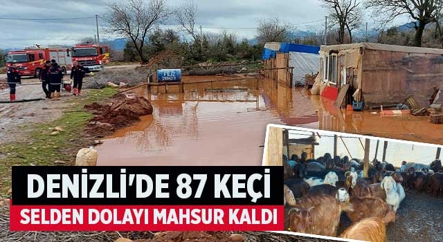 Denizli'de 87 keçi selden dolayı mahsur kaldı