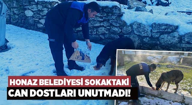 Honaz Belediyesi Sokaktaki Can Dostları Unutmadı!