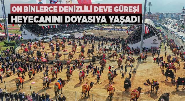 On binlerce Denizlili deve güreşi heyecanını doyasıya yaşadı