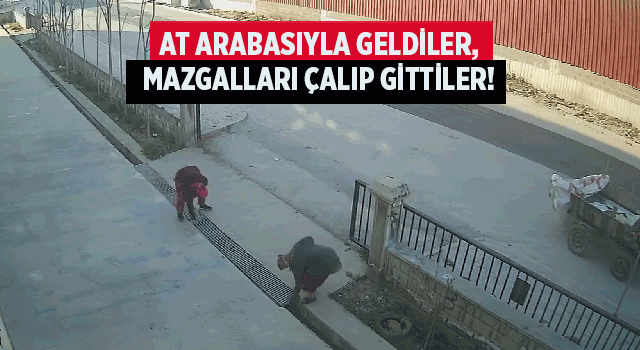 At arabasıyla geldiler, mazgalları çalıp gittiler!