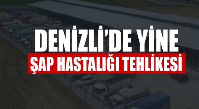 Denizli'de 7 mahallede şap karantinası