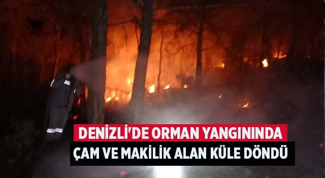 Denizli'de orman yangınında çam ve makilik alan küle döndü