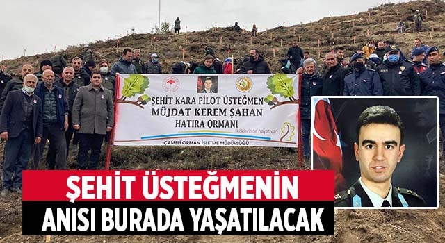 Denizli’de Şehit Üsteğmen’in anısı bu ormanda yaşatılacak