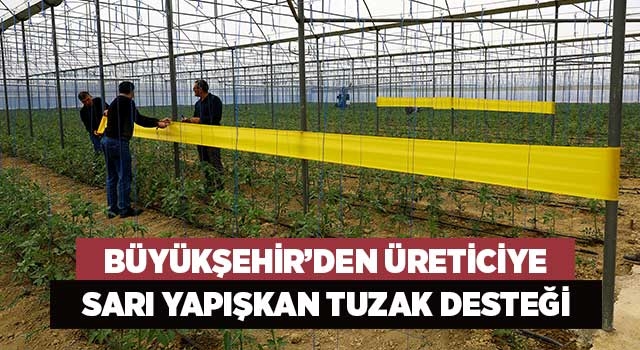 Büyükşehir’den üreticiye sarı yapışkan tuzak desteği